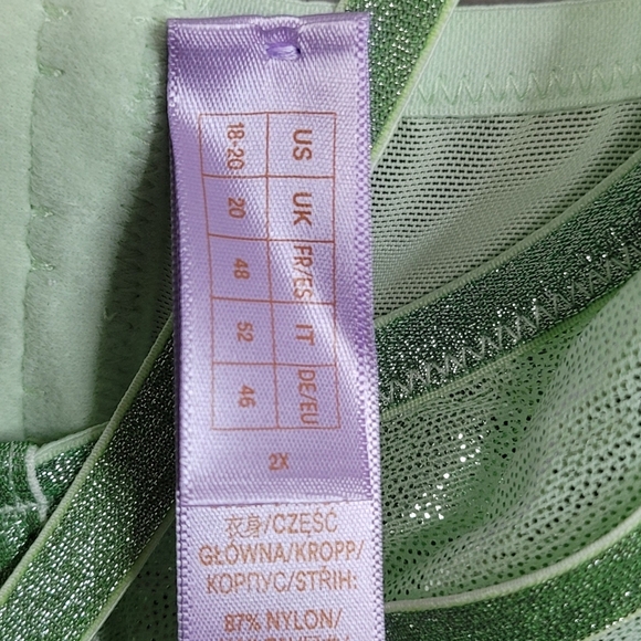 Savage X Fenty Going Platinum Sheer Green Mist Bustier Top 2X NWT Plus Size - Picture 8 of 9